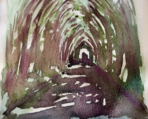 Tunnel of trees, North Somerset